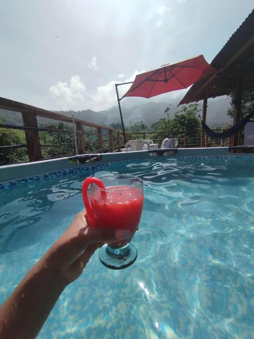 Selva Maria Tayrona'S Hostel 圣玛尔塔 外观 照片